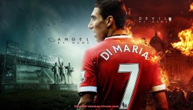 山猫直播官网-上身运动健身器材的选择与训练效果