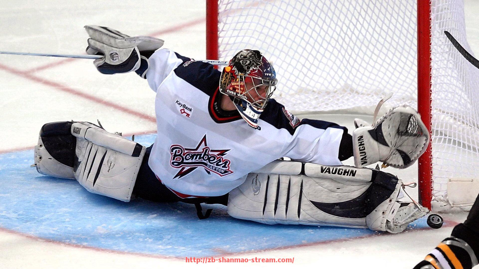 山猫直播官网-法甲最佳球员评选标准及2025候选名单