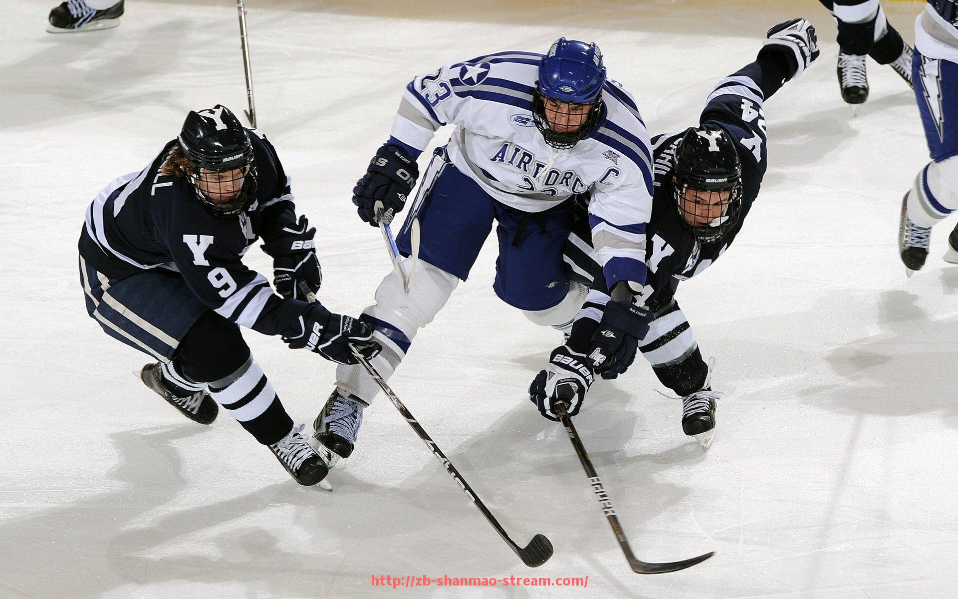 山猫直播官网-各支意甲球队绰号揭秘：维罗纳俱乐部的独特称号