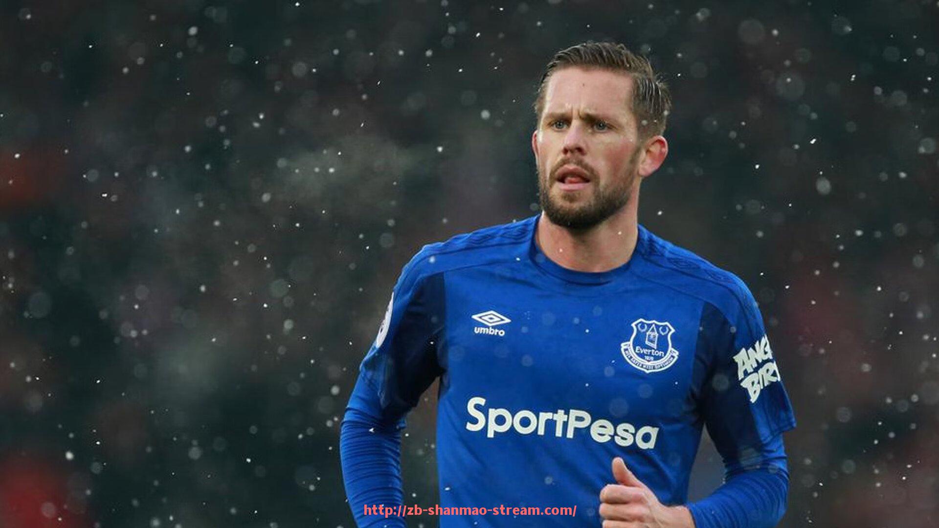 山猫直播官网-绳索下压健身器材动作讲解与训练重点解析