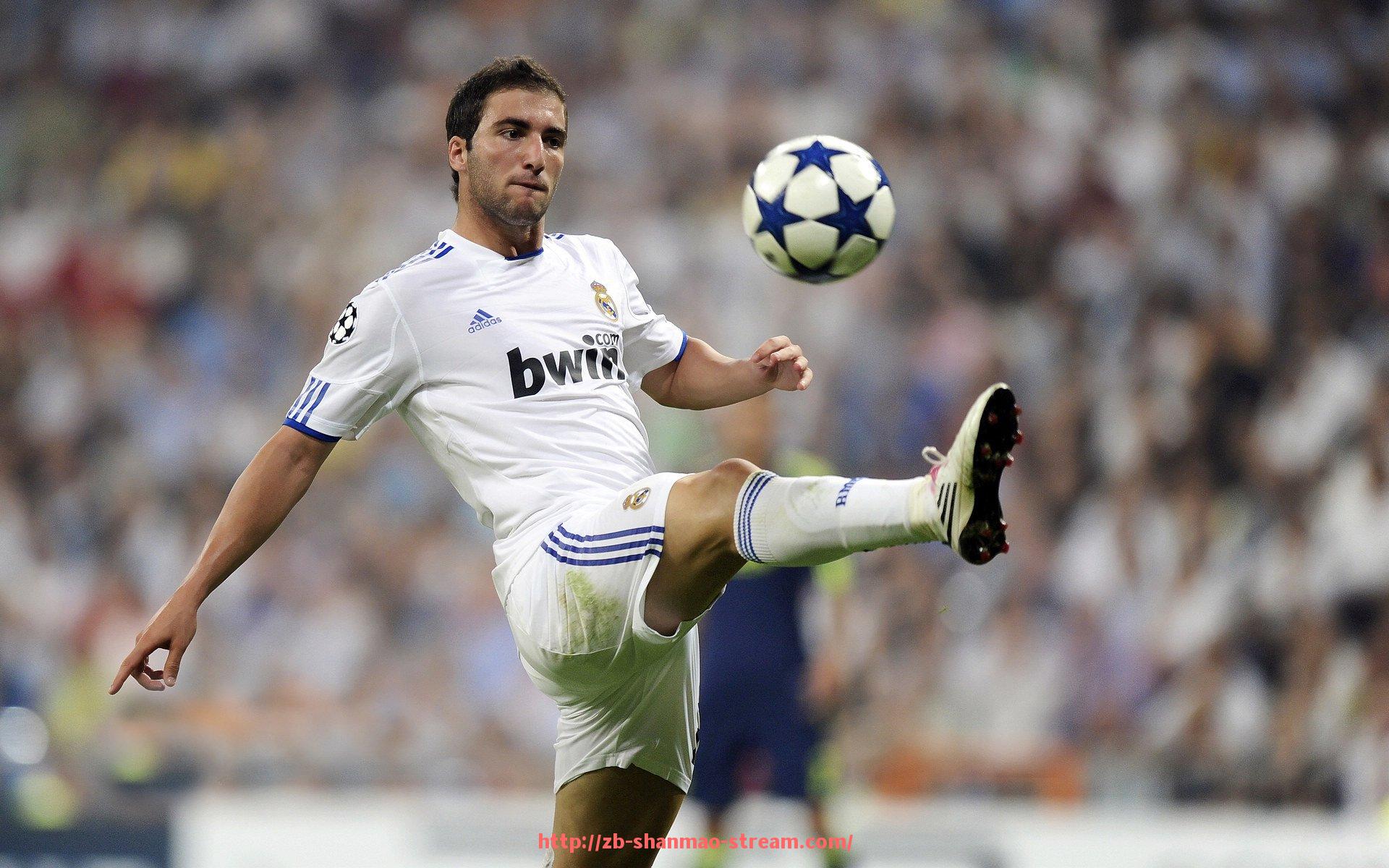 山猫直播官网-世俱杯裁判员介绍与履历公开，专业程度令人信服